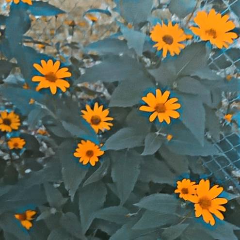 konto o wszystkim🩷🫧