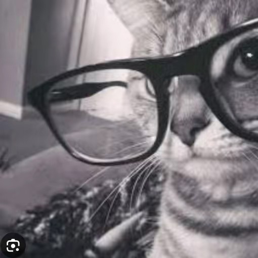 𝐈𝐒𝐀𝐁𝐄𝐋𝐋𝐄