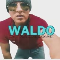 WALDO