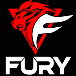 The Fury