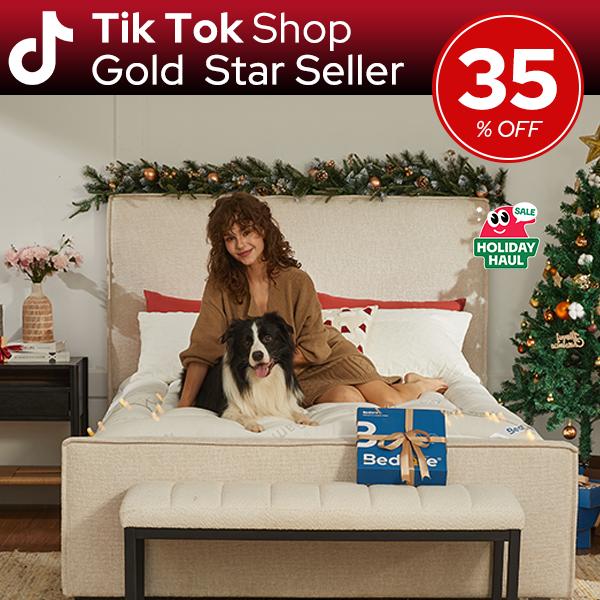 【BEDLORE】Thick Fitted Sheet Mattress Pad, Fluffy Pillow Top Comfort Layer, Cooling & Soft Mattress Cover with Deep Pockets (Fits 6–18 Inch Mattresses), Ideal for Bedroom & Home Use