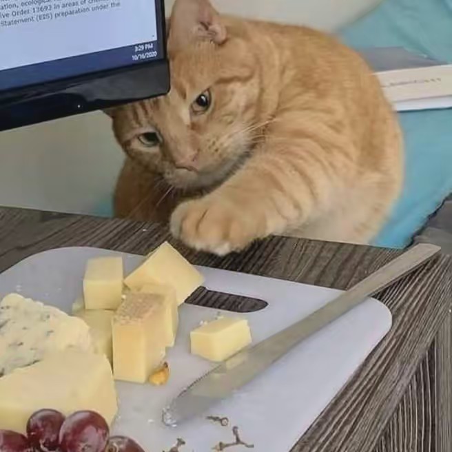 SPARTAN 177🌀🐺🏹♟️☣️