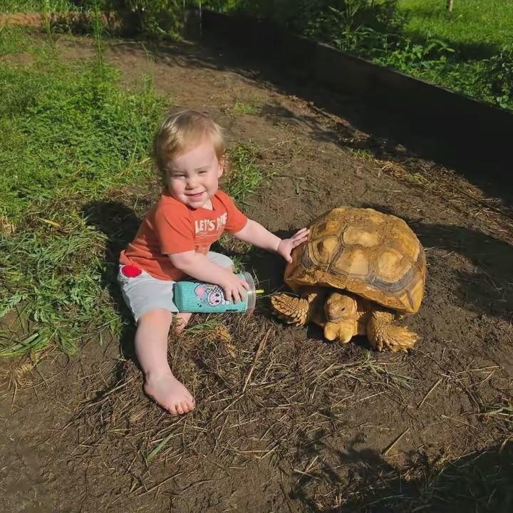 HomesteadNewb🐮🐷