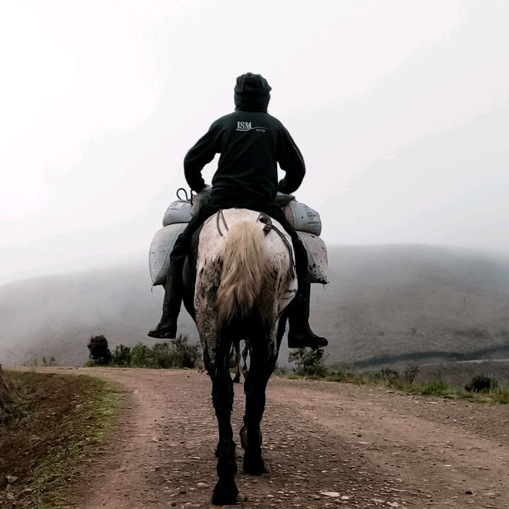 𝙹𝚊𝚒𝚖𝚎 𝙶𝚞𝚊𝚖à𝚗