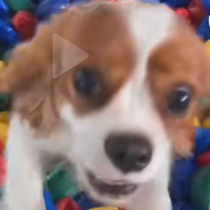 ꧁༺  𝔐ℑ𝔑 ༻꧂