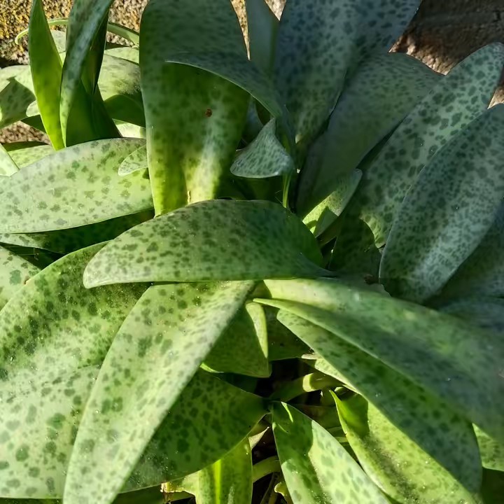 คนรู้จัก