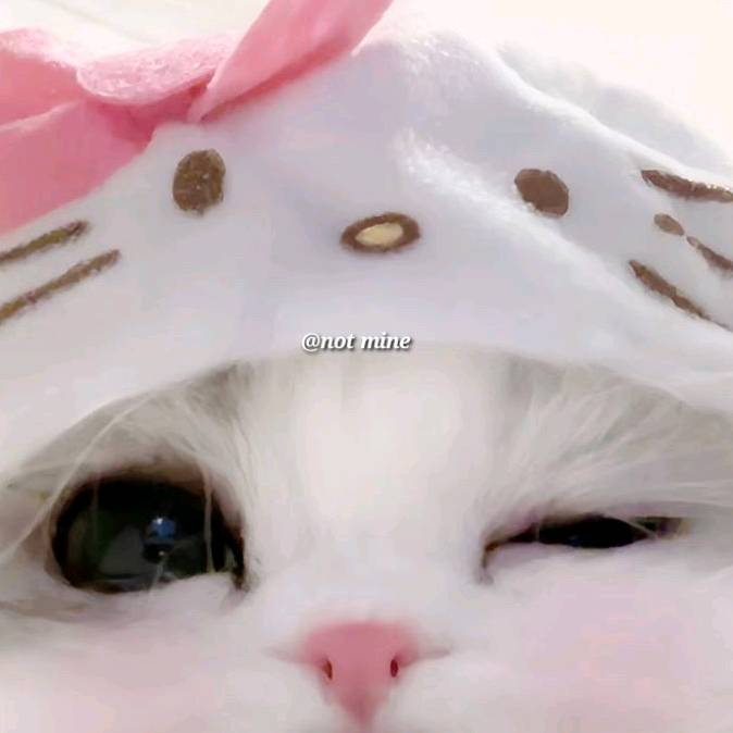 ⋆｡‧˚ʚAZYɞ˚‧｡⋆