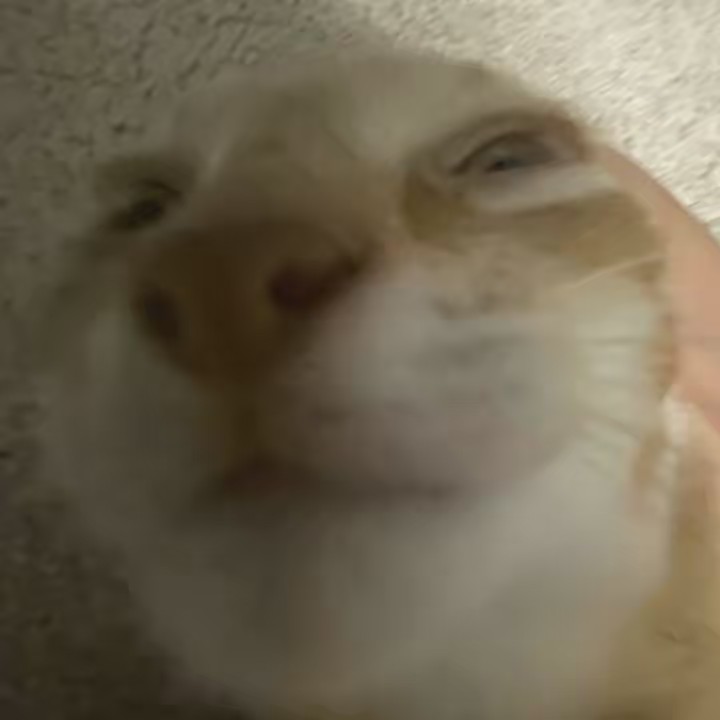 ⠀ ⠀ ⠀ ⠀ ⠀ ⠀