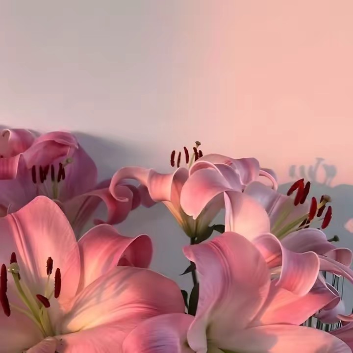 𝐌 𝐈 𝐀 - 𝐉 𝐀 𝐃 𝐄 ꨄ