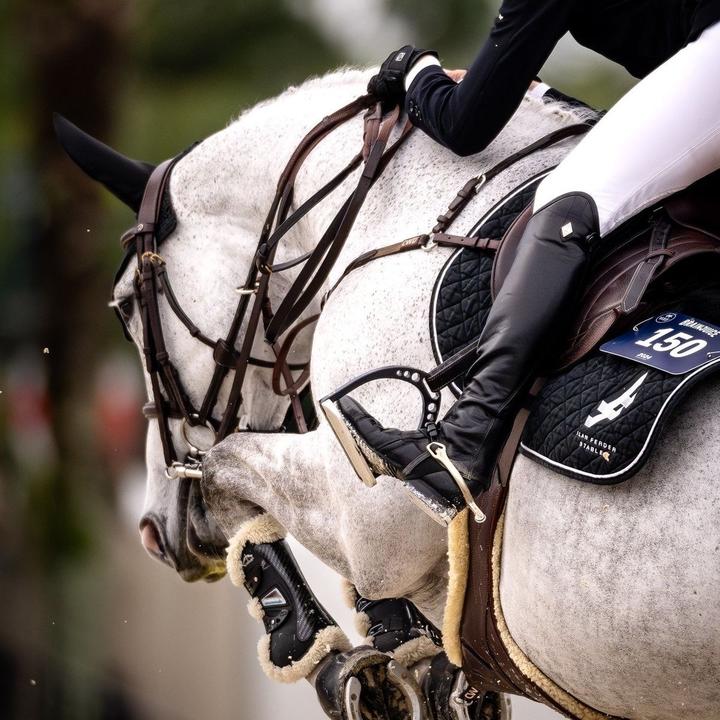 equestrian sounds🤍