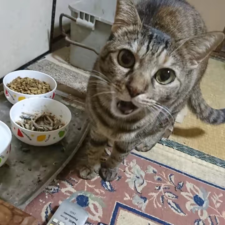 おむすびちゃん