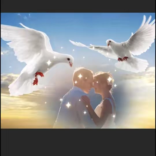 ፍቅሪ ምስ ኩሉ