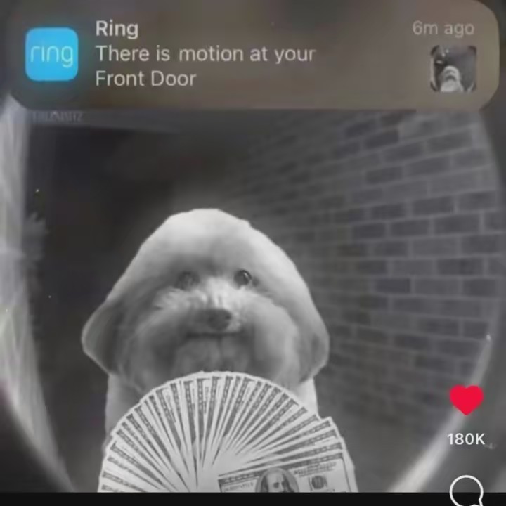 Cj🧑🏽‍🦼‍➡️🤖