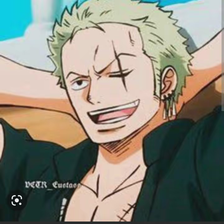 zoro edite de anime