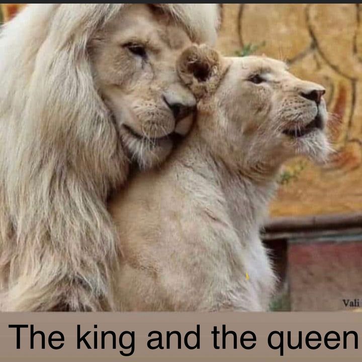 papypolo44_✊✊✊