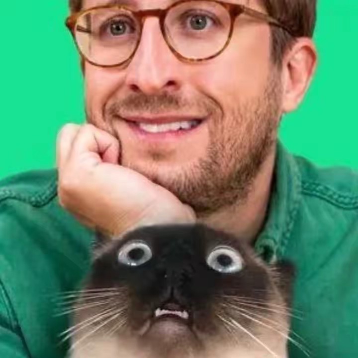 Merv The Cat