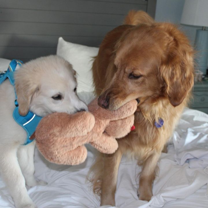 Dallas,  Houston, Denver (RIP)