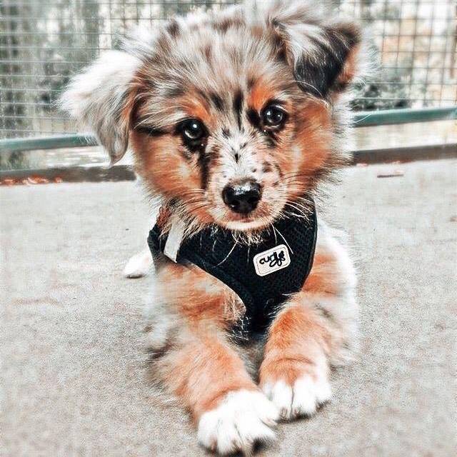 Water bottle squishies!🌿⚡️