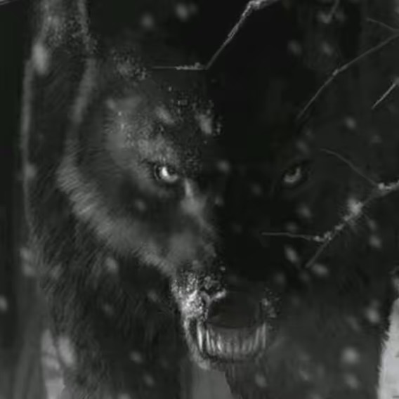 🦋🦋SINZOU SASAGAYO 🦋🦋