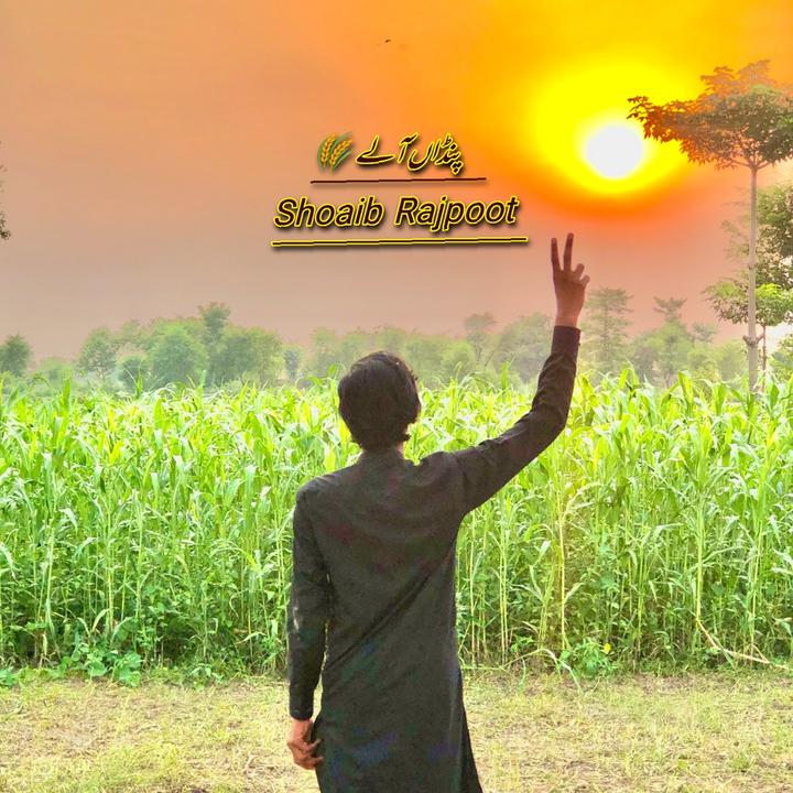 🌾شعیب_پینڈو🥀