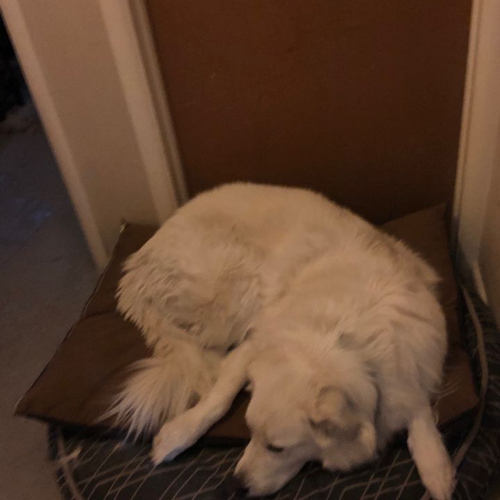 Call me 2’TTS or BRITT