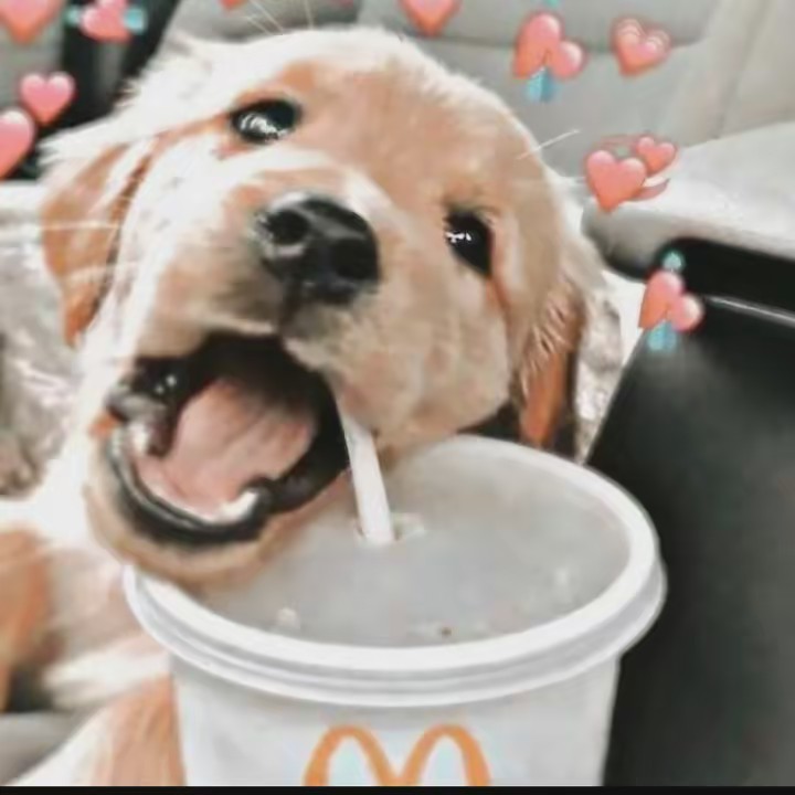 9000 is my follower goal 🥺🤪