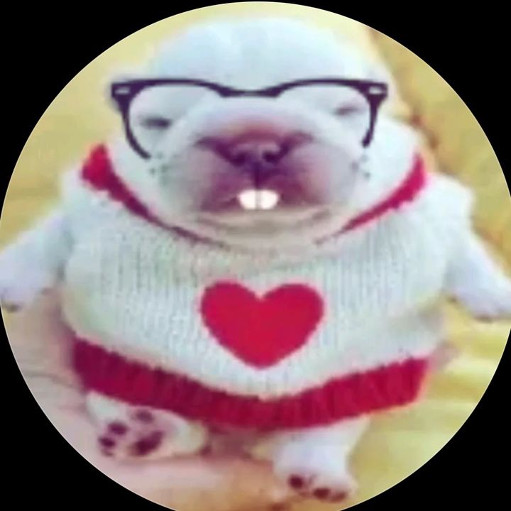 ⋆₊❅🎄𝒽𝒶𝓇𝓁ℯℯ ۶۟ৎ