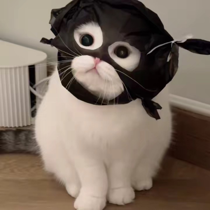 เดอะกลอสซี่ปัน✨ 🫧🪞