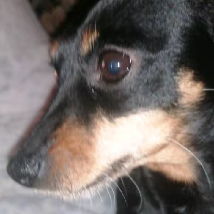 Cristina Cuenda Sanchez