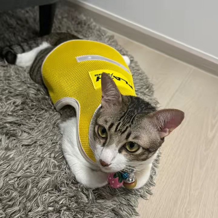 ใช้เองรีวิวเองค๊าฟ