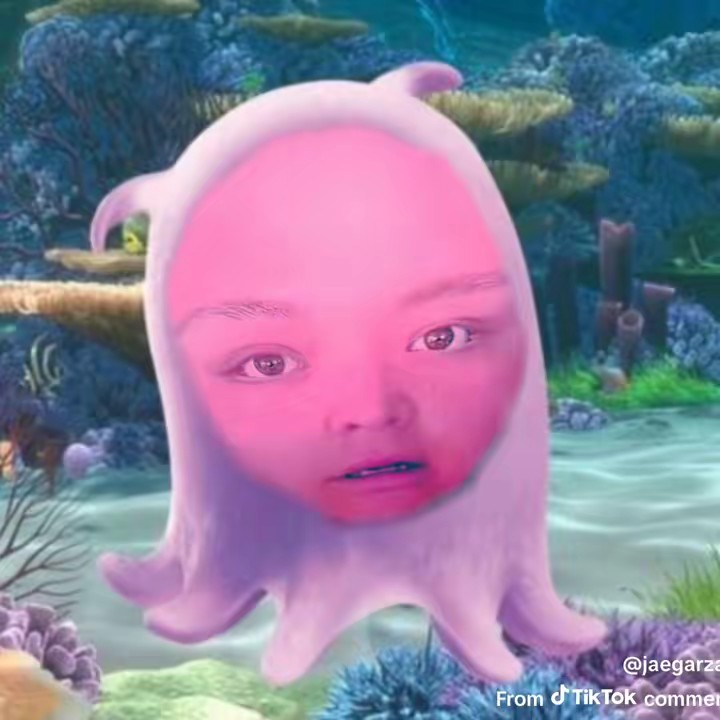 ADAMRAY