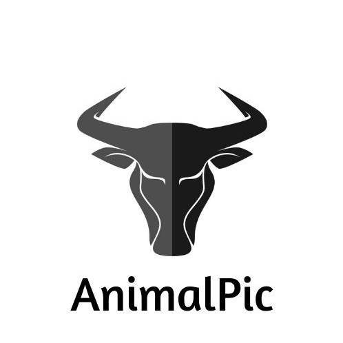 AnimalPic