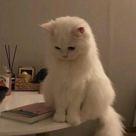 Настюшкаа!!)🫶🏻