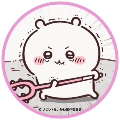 𝑹𝑨𝑴˖˚˳⌖