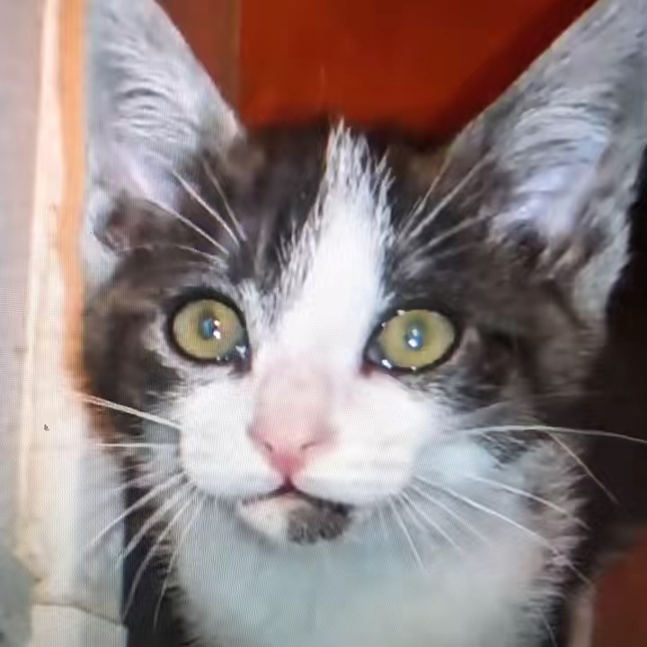 💚Lee ange💚🍀