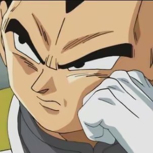 Prince Vegeta 👑🐰🏳️‍🌈🌸🎮🧋