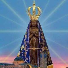 claudemirpereira9398