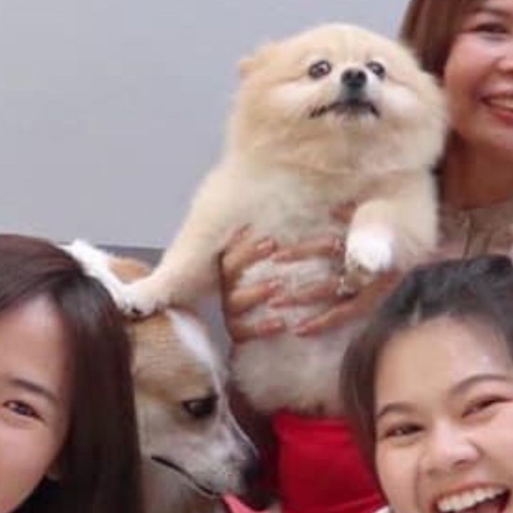 แอดมินชุดนอน