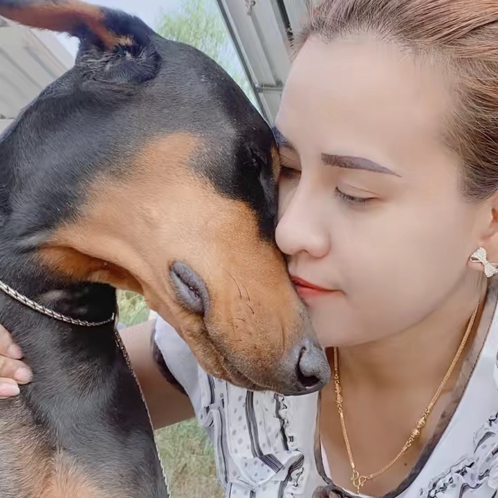 มีลูกเป็นหมาแมว 😻😻