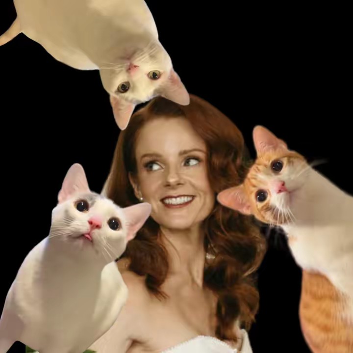 IndoorOutdoorKat