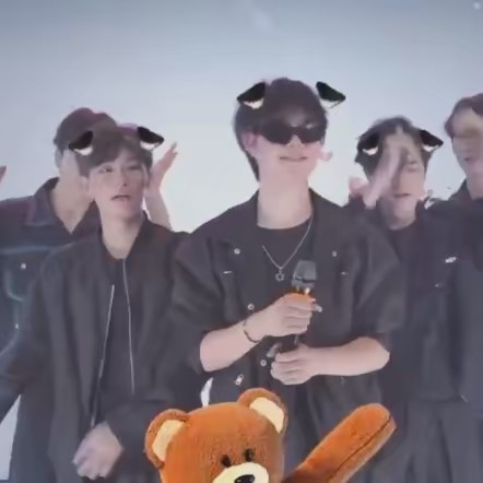 Enigma Harbor Tranquil Willow