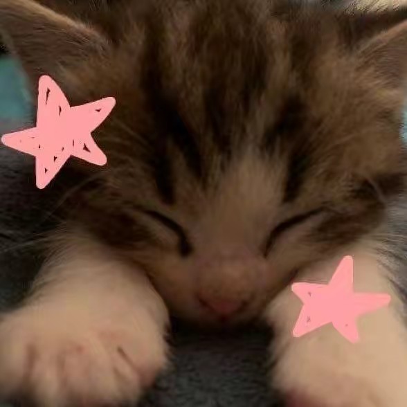 Cooကိုးလ်