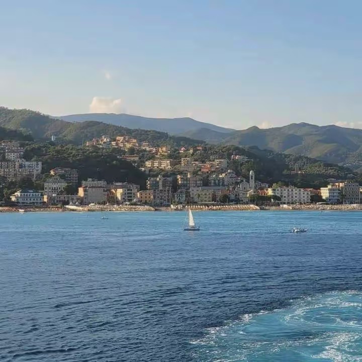 @Ĥ A M Z A🇲🇦🇪🇸🇫🇷