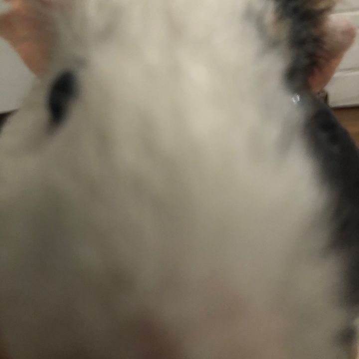 borderlinesalt0Mr.dingle