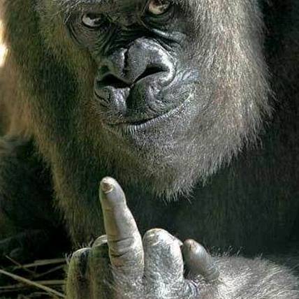 青龍会わらびもち///