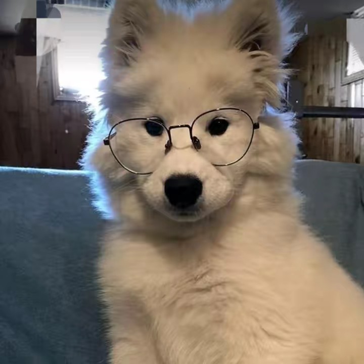 🤍Marie⟭⟬⁷🤍