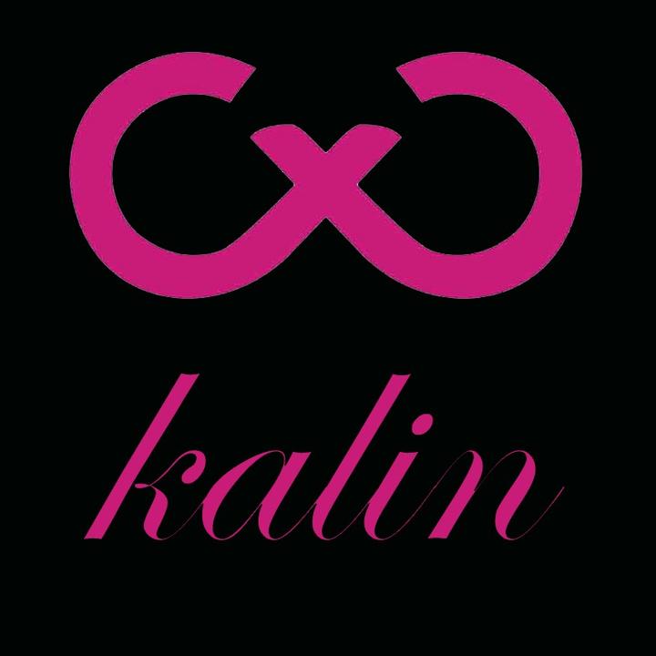 The countess's wardrobe