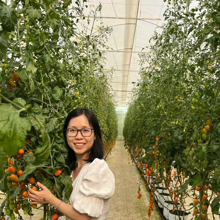 Càng ngày càng đẹp