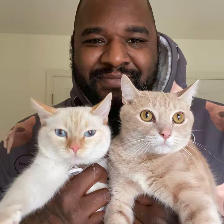 CatNapCEO