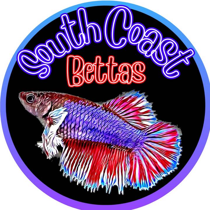 South Coast Bettas🇬🇧